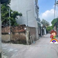 Lô Góc Trục Chính Phượng Đồng- Phụng Châu