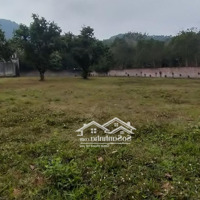 Hàng Hiếm Tại Đường 35, Xã Nam Sơn, Sóc Sơn, Hà Nội, 13,5 Tỷ, 2157 M2