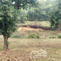 Hàng Hiếm Tại Đường 35, Xã Nam Sơn, Sóc Sơn, Hà Nội, 13,5 Tỷ, 2157 M2