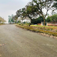 Tđc Vai Réo Cạnh Khu Đô Thị Cao Cấp Phú Cát City