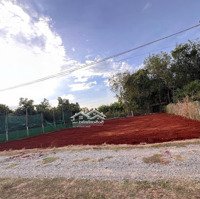518M2 Đất Vườn Bà Rịa Giá Chỉ 1 Tỷ 450 Triệu, Cần Bán Gấp Trong Tuần