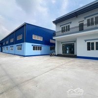 Cho Thuê Kho, Nhà Xưởng 6000M2 Tại Thuận An Bình Dương Có Văn Phòng Riêng