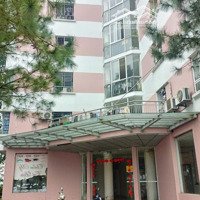 Bán Căn Hộ Chung Cư Tại Đặng Xá, 1,Xtỷ, 36M2, Giá Siêu Hời