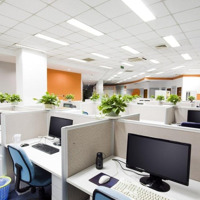 Bán Tòa Văn Phòng Mặt Phố Trần Quốc Toản, 250M2, 11T,Mặt Tiền8M,Ô Tô Tránh, Vỉa Hè, Dòng Tiền 6 Tỷ/Năm.
