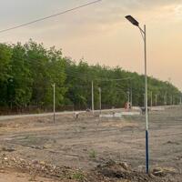 430TR đã có sổ sẵn, công chứng ngay | Đất Bàu Bàng Bình Dương