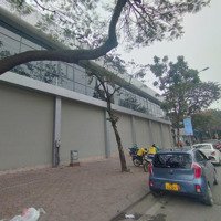 Cho Thuê Tòa Nhà Mặt Phố Cầu Diễn, Btl.diện Tích1000M, 3 Tầng,Mặt Tiền50M Thông Sàn, Vị Trí Tốt. Giá 550 Triệu
