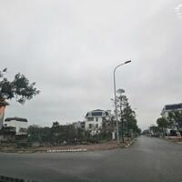 Bán gấp đất Biệt thư Siêu VIP KĐT Nam Vĩnh Yên, 348m2, đường 19,5m view Siêu Thị GO! VĨNH PHÚC