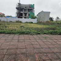 Bán gấp đất Biệt thư Siêu VIP KĐT Nam Vĩnh Yên, 348m2, đường 19,5m view Siêu Thị GO! VĨNH PHÚC