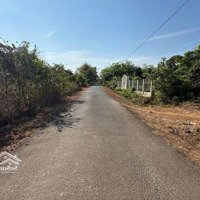 Bán Đất Xã Thiện Hưng, Bù Đốp, Bình Phước, Chỉ Hơn 600 Triệu, Liên Hệ: 0898847779