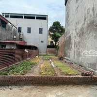 Chính Chủ Gửi Bán 90M2 Đường Nhạn Xuân Nộn Đông Anh Hà Nội