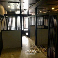 Cho Thuê Nhà Mặt Tiền Lê Thánh Tôn, Q1, 150 Triệu, 100 M2