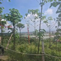 Bán 1000M Trên Đồi Đồng Nanh Tiên Phương Chương Mỹ. Có 300M Đất Ở. Giá Liên Hệ:. 0979 855666