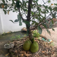 Bán Gấp Biệt Thự 5 Phòng Ngủở Trường Thọ, Thủ Đức, 130 Tỷ, 1177M2, Sổ Riêng.