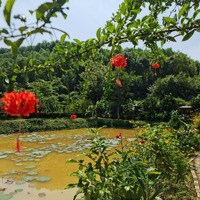 Bán Nhà Vườn Nghỉ Dưỡng View Đẹp Không Khí Trong Lành Tại Lương Sơn Hoà Bình