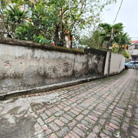Siêu Hiếm: Đất Đẹp Xuân Canh Đông Anh, Cơ Hội Vàng Không Thể Bỏ Qua! Diện Tích: 133M2