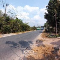Bán Đất Lộc Hưng, Trảng Bàng, Tây Ninh, 600 Triệu, 300M2