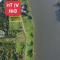 Bán Lô Đất View Sông 5X48=241,4M2 Tc Trung Tâm Công Nghiệp Minh Thạnh Dầu Tiếng Bình Dương 550 Triệu