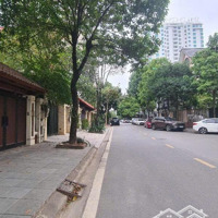 Bật Mí Siêu Phẩm** Biệt Thự Khu Đtm Dịch Vọng - Đẳng Cấp -Khẳng Định Bản Lĩnh Đại Gia Hàng Đầu