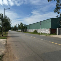 Bán Đất Hương Lộ 2, 5,5 Tỷ, 1437M2, Tp Bà Rịa Là Một, Bà Rịa Vũng Tàu