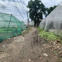 Bán Đất Nông Nghiệp Đường Dương Thị Mười, 8,5 Tỷ, 1058M2, Pháp Lý Đầy Đủ