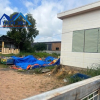 Bán Đất Xd Xưởng (Skc) 17.600M2 Giá Bán 70,4Tỷ Tam Phước-Biên Hòa-Đồng Nai 0375854515
