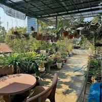 Bán nhà mặt tiền Trương Định, gần VinCom, bệnh Viện Hoàn Mỹ, Biên Hòa, 118m2, giá 13 tỷ.