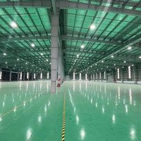 Cho Thuê Nhà Xưởng Kcn Long Thành Hơn 2Hecta Giá Tốt