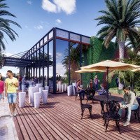 Bán Cc Hàng Hiếm Tại Nguyễn Lam, 4,8 Tỷ, 80M2, 2 Phòng Ngủ Long Biên, Hà Nội