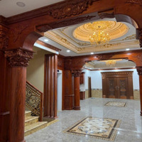 Biệt Thự Tân Cổ Điển Đường Huỳnh Thiện Lộc Quận Tân Phú 8 X 48M Đúc 6 Tấm Có Thang Máy