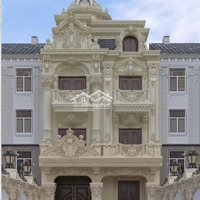 Biệt Thự Tân Cổ Điển Đường Huỳnh Thiện Lộc Quận Tân Phú 8 X 48M Đúc 6 Tấm Có Thang Máy