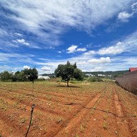 Bán Lô Đấtdiện Tích1733M2 Mặt Đường 7M Thị Trấn Liên Nghĩa, Đức Trọng, Lâm Đồng Cách Trung Tâm Huyện 2Km