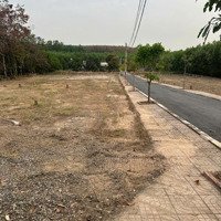 Bán Đất Vị Trí Đẹp Giá Rẻ, Cạnh Sân Bay Quốc Tế Long Thành Đồng Nai, Shr, Giá Chỉ 900 Triệu