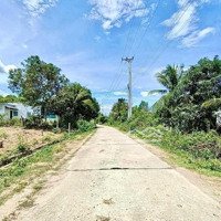 Thanh Lí Thu Hồi Vốn Lô Đất Thổ Cư 278M2 Đường Bê Tông Đường Vào Kcn Giá Bán 110 Triệuiệu