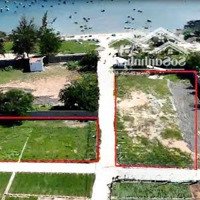 Bán Trang Trại Đẹp, Nhiều Tiện Ích Tại Thanh Hải, Ninh Hải, Ninh Thuận, 1,395 Tỷ, 95 M2