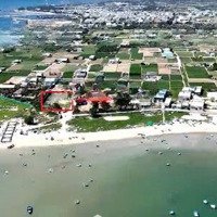 Bán Trang Trại Đẹp, Nhiều Tiện Ích Tại Thanh Hải, Ninh Hải, Ninh Thuận, 1,395 Tỷ, 95 M2