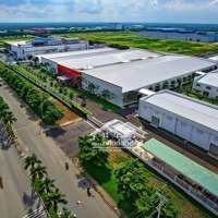Mở Bán Lô Đất Công Nghiệp Cắt Linh Hoạt Từ 1Ha Sát Cao Tốc Gia Lộc - Giá Tốt Chỉ (2.900.000Đ/M2)