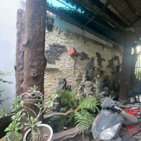 Chính Chủ Cho Thuê Gấp Nhà Vườn Nguyên Căn. Giá 15 Triệu/Tháng.