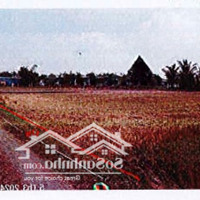 Bán Đgts Đất Tại Tđ Số 814, Xã Tân Mỹ, Huyện Đức Hòa, Tỉnh Long An