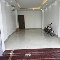 Cho Thuê Mặt Bằng Kinh Doanh 50M2 Siêu Vip Mặt Phố Trần Quốc Hoàn