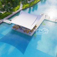 Nhà Đầu Tư F0 (Chưa Có Kinh Nghiệm) Có Nên Tham Gia Vào Sun Urban City Không?