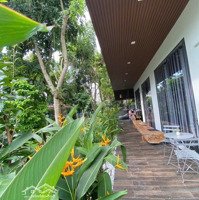 Chính Chủ Bán Gấp Căn Biệt Thự Gốc 2 Mặt Tiền Mỹ Thái, Phú Mỹ Hưng, Quận 7 221M2, 70 Tỷ