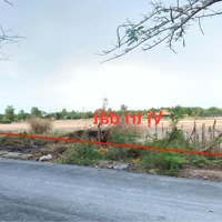 Bán Đấtmặt Tiềnđường Nhựa 8M, Tam Thôn Hiệp, Cần Giờ, 1000M2 Thổ Cư, 7,2 Tỷ