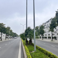 Chính Chủ Cho Thuê Ha2-119 Căn Sẻ Khe 114M2 Vinhomes Ocean Park Gia Lâm Hà Nội