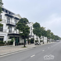 Chính Chủ Cho Thuê Ha2-119 Căn Sẻ Khe 114M2 Vinhomes Ocean Park Gia Lâm Hà Nội