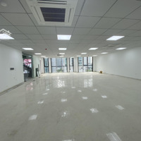 Cho Thuê Nhà Mp Đoàn Thị Điểm, Văn Miếu, Đống Đa. 180M2 8 Tầng Nổi 1 Tầng Hầm, Giá 240 Tr