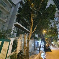 Siêu Hiếm !! Liền Kề Hdi Vũ Phạm Hàm , Mạc Thái Tông 0903892668