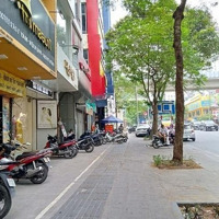 Siêu Hiếm! Cho Thuê Nhà Mặt Phố Thái Hà, Đống Đa. Mặt Tiền: 11M, Diện Tích: 130M2