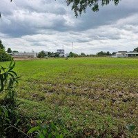 Chính Chủ Gửi Bán 4000M2 Đất Lúa Mặt Tiền Tại Xã Thanh Phú, Huyện Bến Lức
