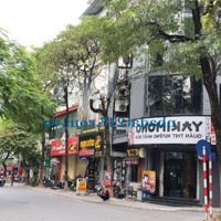 Cho Thuê Nhà Mặt Phố Đường Nguyên Hồng, Mặt Tiền 5,5M, Diện Tích 50M2 X 4 Tầng