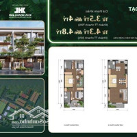 The Larita Liền Kề Chợ Bình Chánh 3Tỷ5/120M2, Ngay Nút Giao Các Cao Tốc, Dự Án Đáng Để Đầu Tư 2025